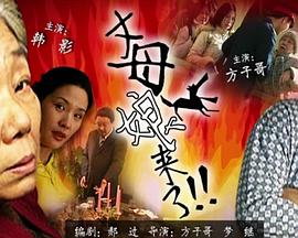 国产精品高呻吟久久无码
